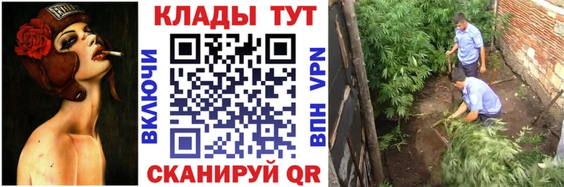 Купить Оха ГАШИШ  МЕТАДОН  МЕФ  МАРИХУАНА 
