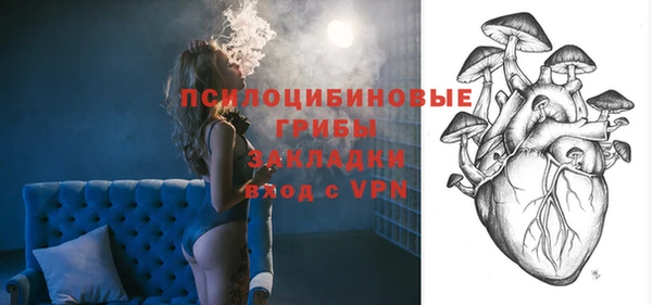 МДПВ Гусиноозёрск