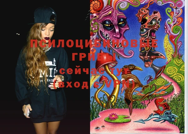 МДПВ Гусиноозёрск