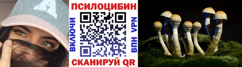 как найти   Оха  Псилоцибиновые грибы Psilocybine cubensis 